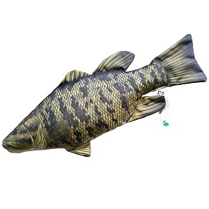 Ryba Bass Maogbowy - 67cm