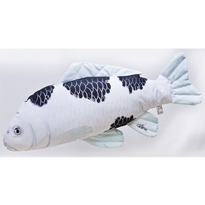 Karp Koi Utsuri Bekko - 60cm