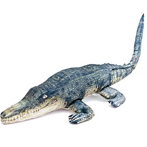 Krokodyl - 120cm