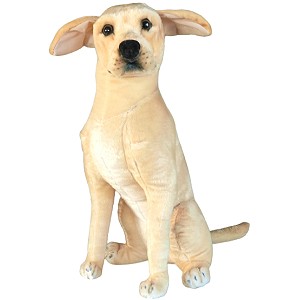 Piesek Labrador Siedzcy DUBI - 66cm