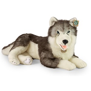 Piesek Husky Lecy - 60cm